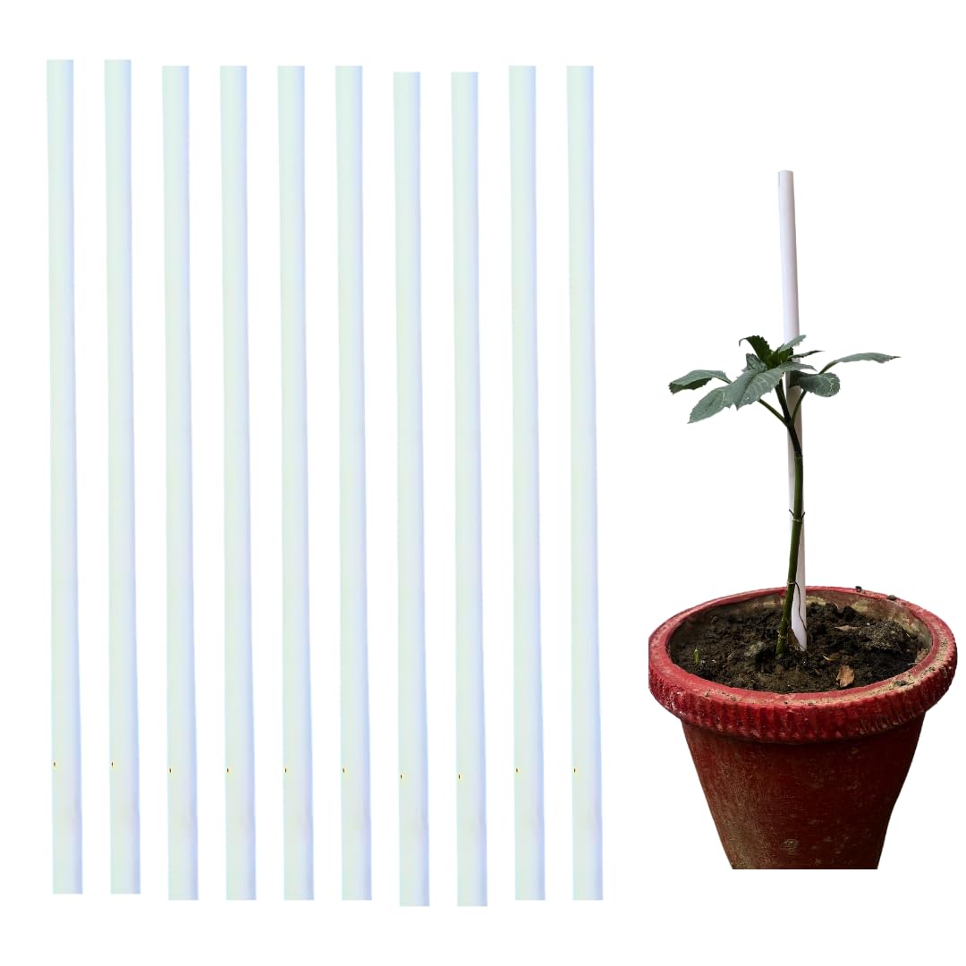Trelliskart PVC Sticks Plant Support | Creepers | Climber | Garden Sticks Pack of 10 | White (B0CXM6KQKG) Amazon Price History, Amazon Price Tracker