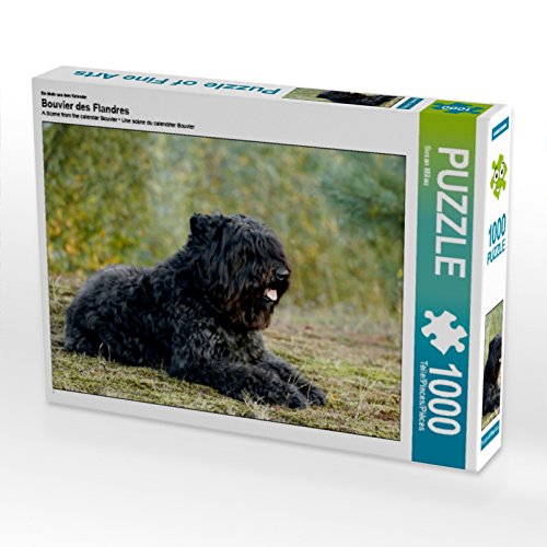 CALVENDO Puzzle 1000 Teile – Bouvier Des Flandres Hundemotiv, 64x48 Cm