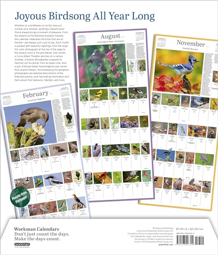 Audubon Songbirds and Other Backyard Birds Picture-A-Day(r) Wall Calendar 2025 - Image 2