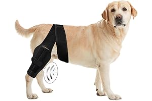 Tailwind Pets Dog Knee Brace: Ultimate Support for Canine Knees