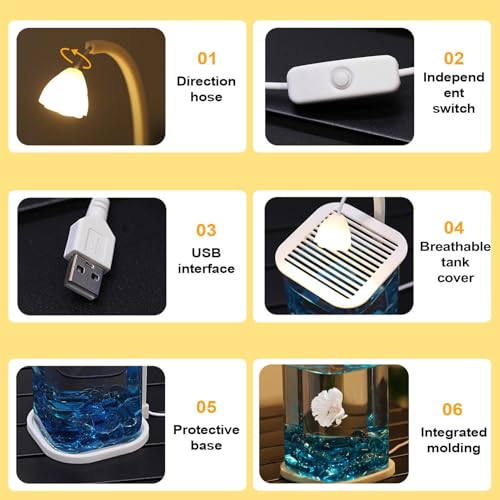 Aquarium petit crabe au design élégant avec éclairage de bureau - 7
