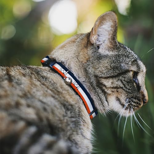 Collar de gato a rayas ajustable de 0.5 pulgadas de ancho resistente a tirones 3