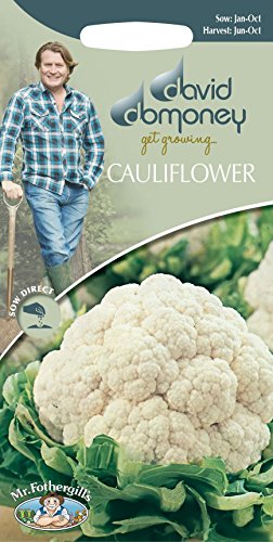 Mr Fothergills - Vegetable - David Domoney Cauliflower - All Year Round - 200 Seeds