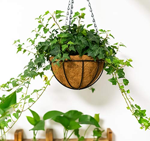 Kingbuy 10 Inch Hanging Planter Basket with Coconut Liner Wire Plant Holder Chain Flower Baskets Pot Hanger Home Garden Decoration for Indoor Outdoor, 2 Pack - Image 3