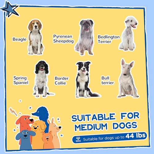 PawHut Outside Cabin-Style Wooden Dog House for Large Dogs with Openable Roof & Giant Window, Outdoor & Indoor Big Dog House, Asphalt Roof, Yellow - Image 4