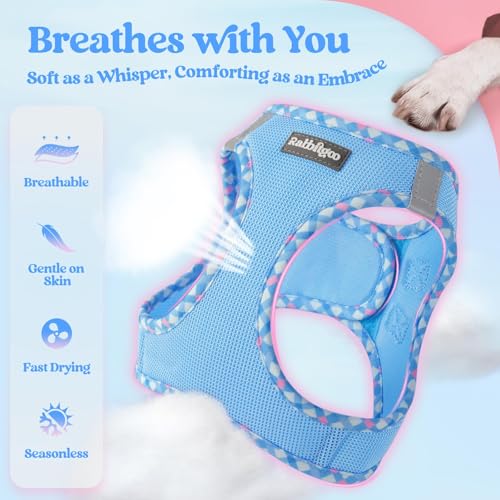 Image of rabbitgoo Dog Harness Small Sized and Leash Set, Step-in Puppy Pet Vest