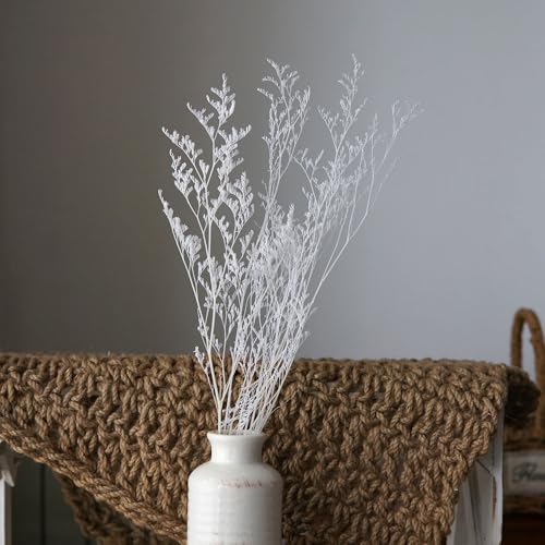 Flores preservadas Limonium para decoración natural miniatura 5