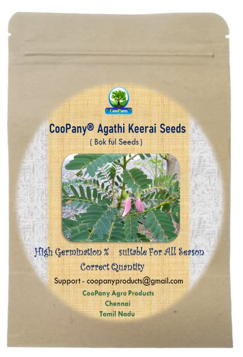 CooPany® AGASTHI/BOKFUL/AGATHI KEERAI SEEDS 30 SEEDS (B093F27M16) Amazon Price History, Amazon Price Tracker