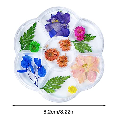 Flores secas para unhas - 3D Caixa de Flores Secas, Multicoloridas, Suprimentos de Decoração de Desi