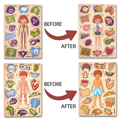 Image of Lefan� Body Part Wooden Puzzle Kids Games Toys for Kids 3+ Jigsaw Puzzles for Adults Baby Learning Toys Educational Toys for 2 Board Game