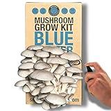 Smart Mushrooms Growing kit Blue Oyster XL - Harvest in 14 days - Growth Guaranteed - Ideal Mushroom Gifts Foodie/Gardening Fun, Easy & Delicious | Grow Your Own Oyster Mushrooms