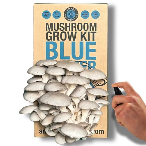 Smart Mushrooms Blue Oyster Mushroom Growing Kit | Grow Your Own Mushrooms Kit | Indoor Mushroom Grow Kit | Gardening Gifts for Women Men & Kids | Growth Guaranteed | Mushroom Gifts