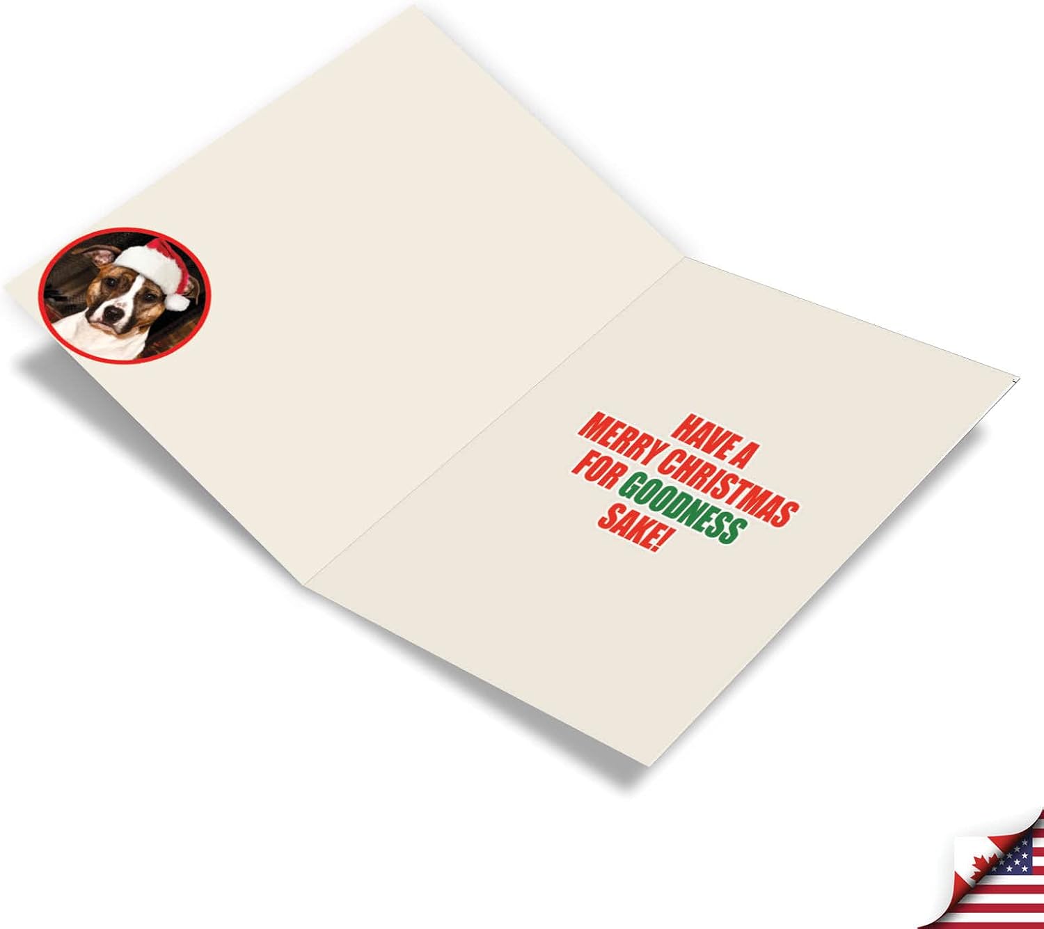 NobleWorks Bulk Pack of 36 Humorous Merry Christmas Greeting Cards w/Envelopes, Boxed Funny Holiday Dog Notecards for Men and Women (1 Designs, 36 Each) - Tree Fainted C1144XSG-B36