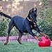 Virtually Indestructible Best Ball for Dogs, 10-inch