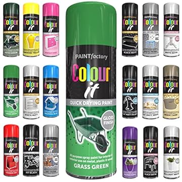 Classic Signature -1 x All Purpose Grass Green Aerosol Spray Paint 250ml Quick Drying Spray, Fast Dry and Excellent Coverage for Wood, Metal, Plastic and more