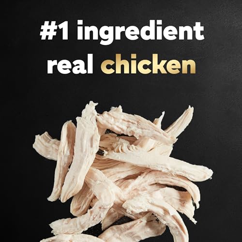 Image of Cesar Small Breed Dry Dog Food, Chicken & Spring Vegetables Flavor, 5 lb | Made in USA, Real chicken #1 ingredient, 26 essential nutrients, supports small breed health, no artificial flavors