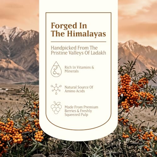 Image of Baidyanath Trusoul Sea Buckthorn Juice 500ml | Himalayan Ladakh Berry Fruit Pulp Concentrate | Omega 3 6 7 9 | Supports Immunity, Skin Glow & Gut Health | No Added Sugar | GMP Certified