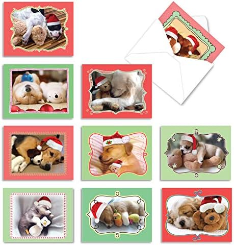 The Best Card Company - 10 Adorable Dog Christmas Cards - Boxed Assortment of Cute Pet Puppies, Holiday Notecards (4 x 5.12 Inch) - Christmas Cuddle ...