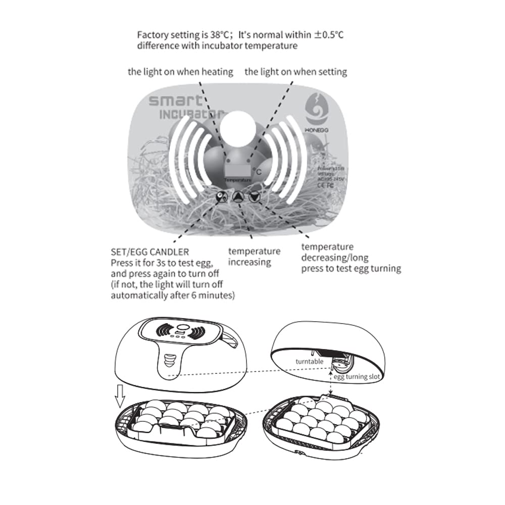 Ei-Inkubator zum Schlüpfen mit automatischer Eierdrehung, LED-Ei-Testlampe, klarer Deckel, leicht zu waschen, 16 Eier, Geflügelbrüter, Bauernhof, Vogel, Wachtel, Huhn, Geflügelfarm, Brüter, W