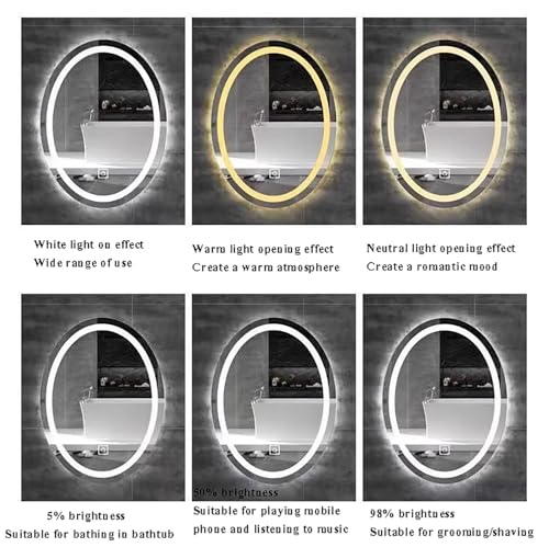 Miroir de salle de bain ovale DEL moderne désembueur éclairage variable