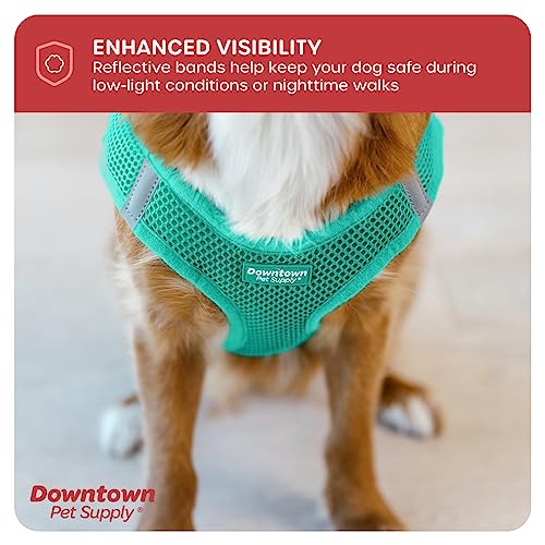 Downtown Pet Supply Step In Dog Harness For Small Dogs No Pull, Large, Bermuda Blue - Adjustable Harness With Padded Mesh Fabric And Reflective Trim - Buckle Strap Harness For Dogs #TOP6