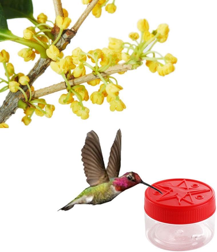 Kopida 4Pcs Red Handheld Hummingbird Feeders, Portable Window Bird Feeders for Outdoor Supplies - Image 7