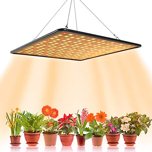 Lampe Horticole LED Croissance Plantes 225 LEDs - Spectre Complet 40W équivalent 1000W - Pour Culture Intérieur, Hydroponie Et Semis
