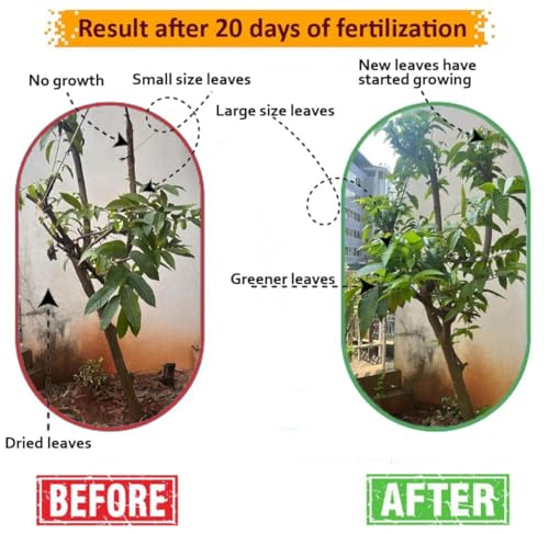 Image of Vermicompost Organic Fertilizer - 100% Natural, Chemical Free Compost for Plants & Gardening | Improves Soil Fertility & Plant Growth 5kg (5 kg)