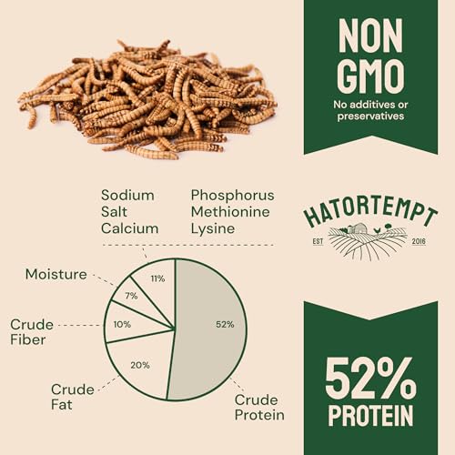 Hatortempt Bulk Dried Mealworms 10 Lbs - Non GMO Dried Mealworms for Chickens - Dried Mealworms for Chickens - Meal Worms for Birds & Chicken Treats for Laying Hens - Organic Chicken Feed - Thumbnail 7