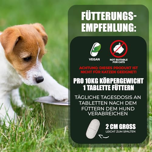 Saint Nutrition® Wormwood – Wurmkur sekundierend für Hunde - Wermutkraut Extrakt Hund – Natürliche Kräuterformel - Ergänzungsfuttermittel für eine optimale Unterstützung - ohne künstliche Zusätze