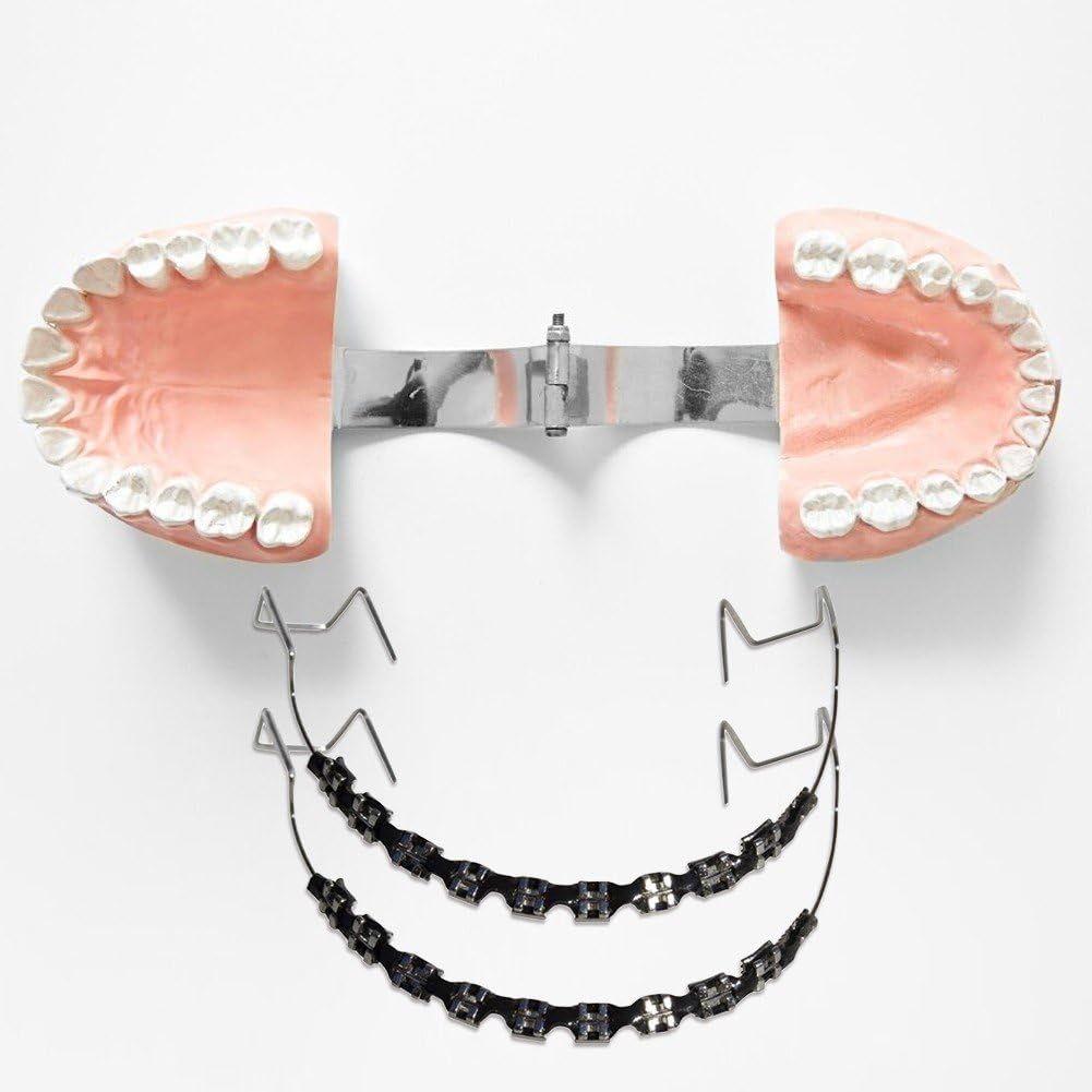 Soporte Gancho Metal Decoración Temporal Dientes Ortodoncia Alambres Ligaduras