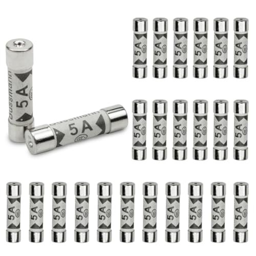 Innfeeltech 5A 240V Keramische Sicherungen 25er-Pack