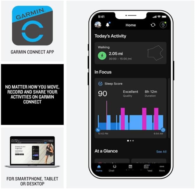 Interfaċċja tal-App Garmin Connect