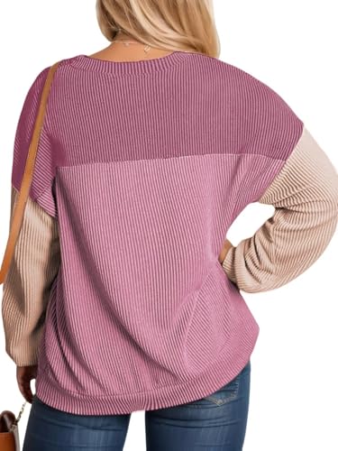 Image of DOLNINE Plus Size Tops for Women Long Sleeve Color Block Ribbed Knit Tunic