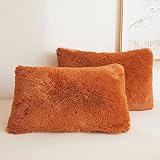 XeGe Faux Fur Fluffy Pillow Cases, Plush Shaggy Pillow Shams, Ultra Soft Furry Pillow Covers, Velvet Fuzzy Decorative Pillowcases for Bed Couch Sofa Zipper Closure, Set of 2 (Standard, Burnt Orange)