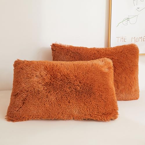 XeGe Fluffy Faux Fur Bed Pillow Cases, Set of 2, Standard, Burnt Orange