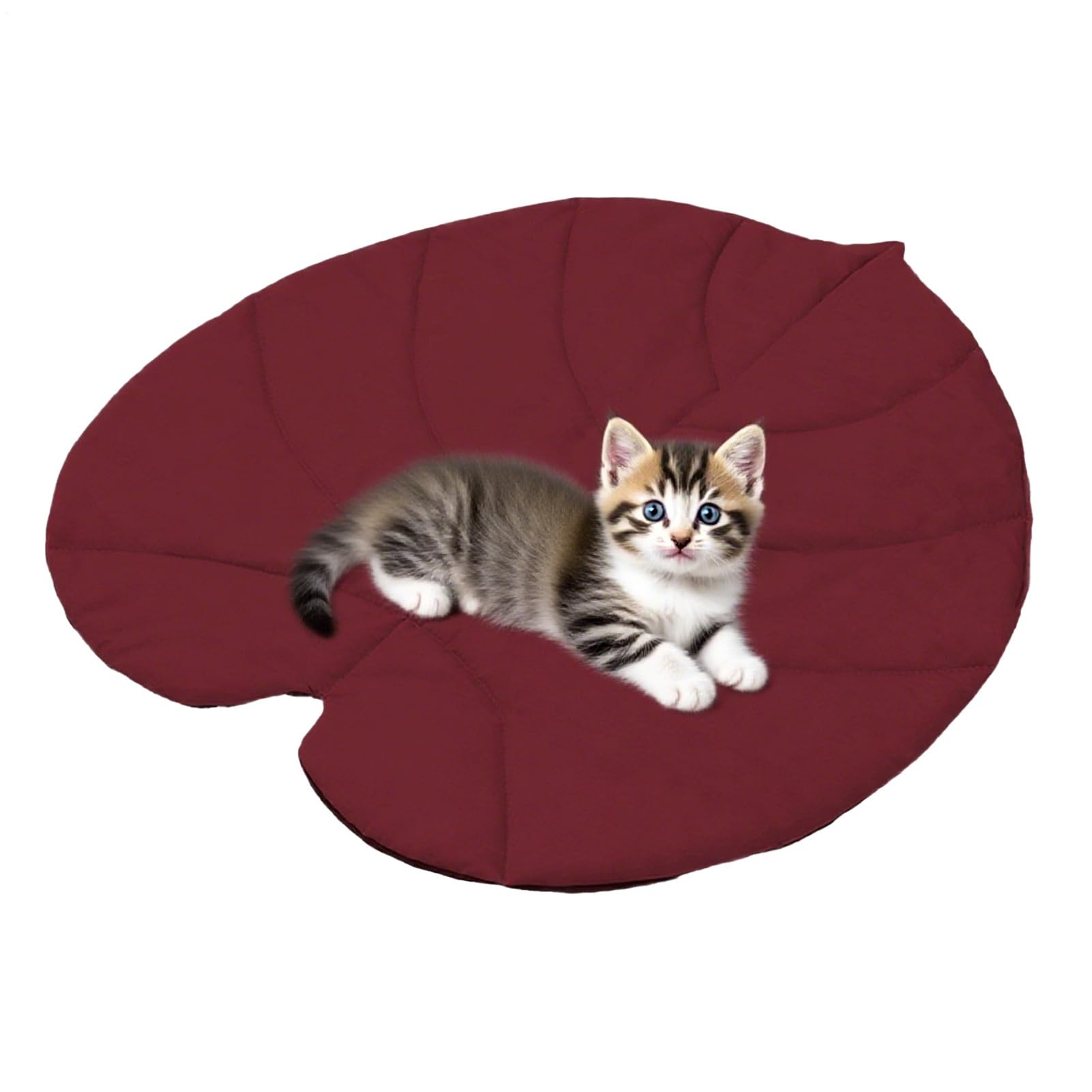 Tapis imperméable pour animaux domestiques et couchage isolant pour le voyage