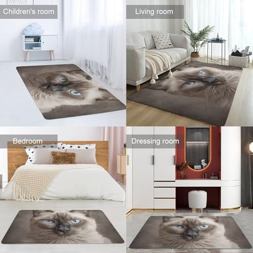 Tapis de bain antidérapant séchage rapide tapis sol baignoire
