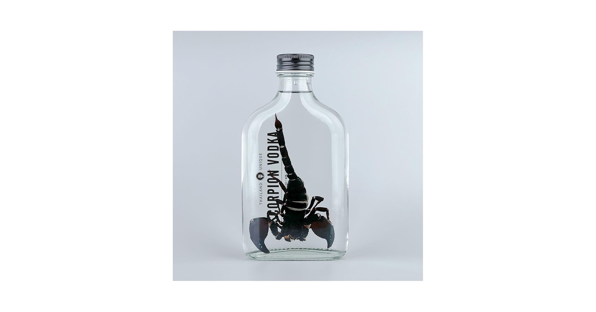 51zPuNKWQ6L.jpg_BO30,255,255,