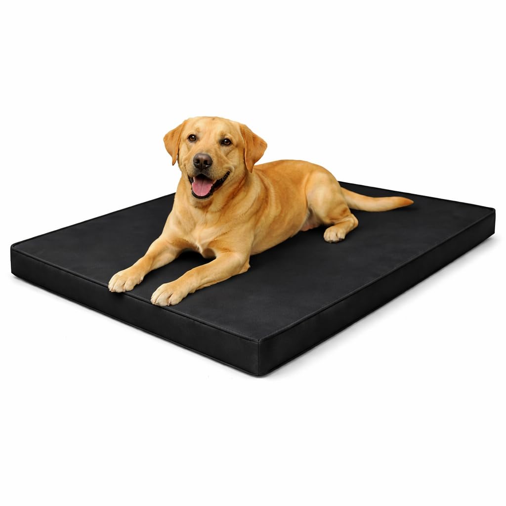 MOTHER LAND Waterproof Dog Bed Heavy Duty Foam Pet Mattress Cushion Dog Bed MatCrate Kennel, FloorTravel Durable Puppy BedSmall Medium Large Dogs (Black, XX-Large 120 × 75 × 5 cm 48″ × 30″ × 2″)