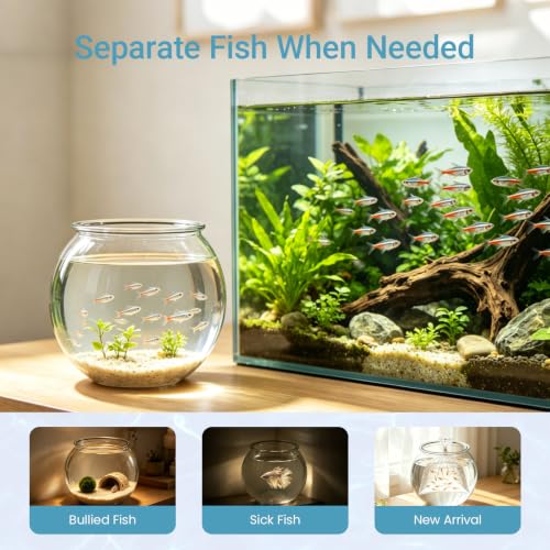 Image of Koller Products 1-Gallon Plastic Round Fish Bowl, Hospital Fish Tank for Betta Guppy Tetra Zebrafish Shrimp, Temporary Tank for Fry, Isolation, Fish Breeding, Classroom Education and Decoration