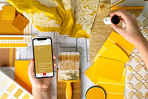 Datacolor ColorReader – Professional Digital Colorimeter & Paint Matching Tool; Instantly Identify HEX, RGB & CMYK Codes; Precise Delta E Accuracy for DIY, Designers & Painters - Thumbnail 6