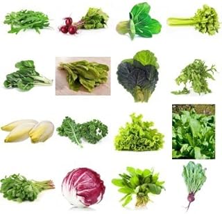 Greens Veg seeds kit Seedscare India (Rocket, Radish Red round, Pak choy, Celery, Swiss Chard, Palak, Cress, Mizuna, Sweet corn, Kale, Lettuce Grand rapids, Lettuce iceberg, Methi, Chicory, Dhaniya, turnip) !! 16 packets/1000+++ seeds!! Seedscare India