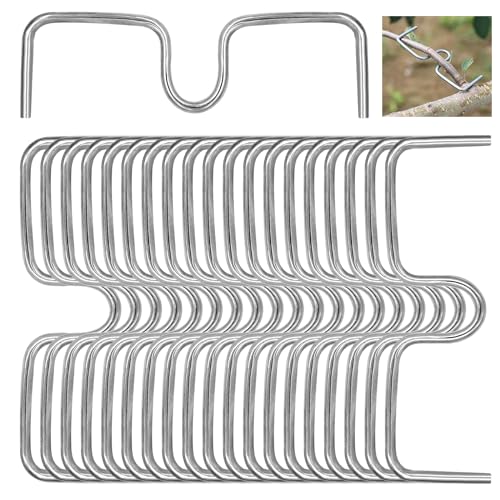 Piuluvor® 20 Stück Astzieher Metall, Pflanzenstütze Astspreizer Obstbaum Pflanzen Bieger Clips 3,8mm Astfixierer für Gartenbäume Obstbaum Aste (10cm)
