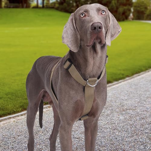Hundegeschirr Mittelgroße Grosse Hunde, Taktisches Hundegeschirr Ausbruchsicheres, Gepolsterte Anti Zug Brustgeschirr Weich Verstellbares Dog Harness für Hunde Alltag und Training (Khaki, M)