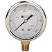 Liquid Filled 2-1/2" Dial, 1/4" NPT Bottom, 0-300 PSI