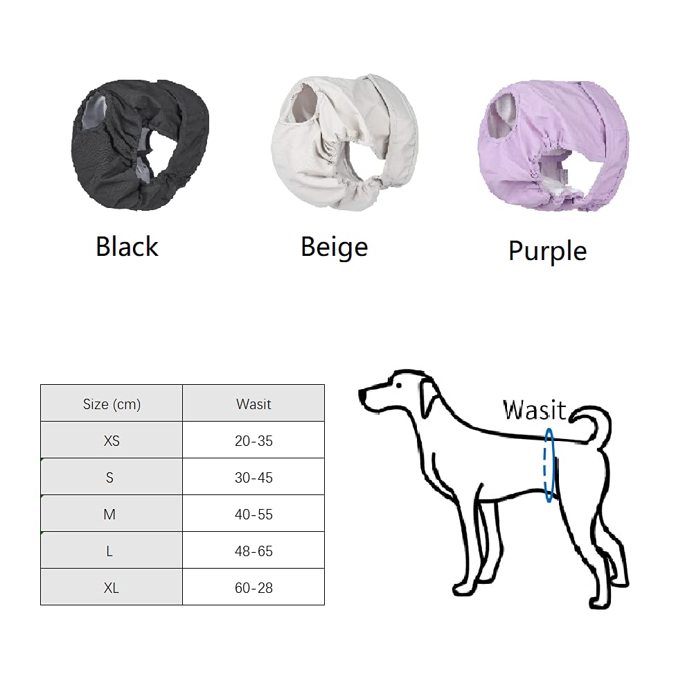 Couches Lavables pour Chiennes, sous-vêtements Hygiéniques pour Chiens en Chaleur, 5 Tailles XS à XL, Convient à Toutes Les Chiennes (XL: 60-82cm, 3-Packs)