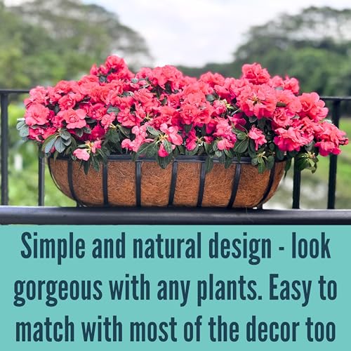 Image of LaLaGreen Railing Planters Box (36 inch, 2 Pack) Black Metal Rectangular Window Flower Box with Coco Liner, Extra Large Wall Hanging Planter for Outdoor Plants Deck Rail Fence Bracket Balcony Porch Garden