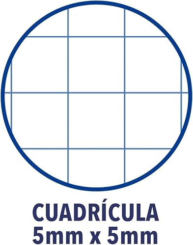 Oxford A4-Blätter, kariert, perforiert, 160 Blatt, kariert, 5 x 5, 10 Bandfarben