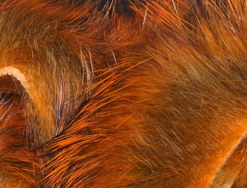 Hareline Fly Tying Magnum Rabbit Strips - Wide Rabbit Fur Strip Material for Streamers, Pike, Musky & Saltwater Flies